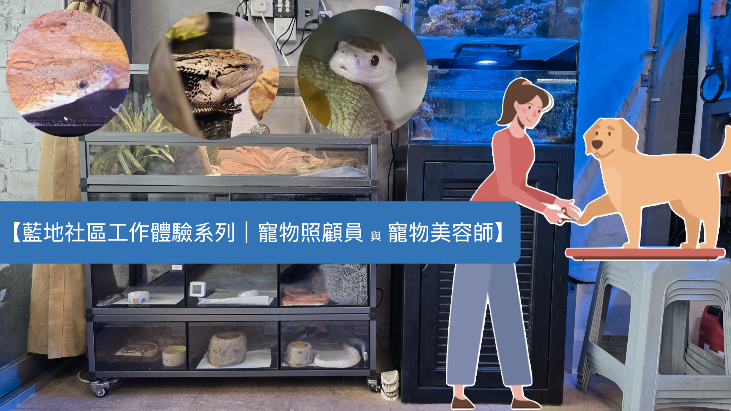 【藍地社區工作體驗系列｜寵物照顧員 與 寵物美容師】